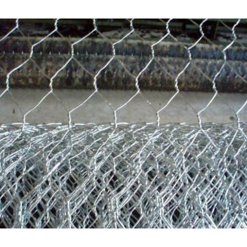 PVC Coated Hexagonal Wire Mesh/Poultry Mesh/Bird Cages